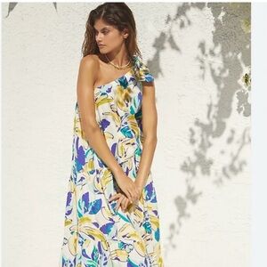 Anthropologie Blue and Yellow Floral Maxi Dress